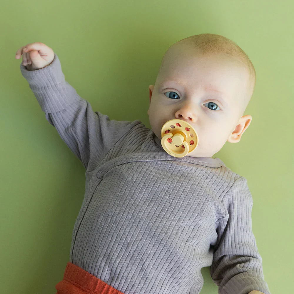 Bibs Studio Colour Ladybug Friends Emzik-Pale Butter